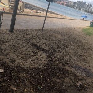 Meet your Posher, Cody